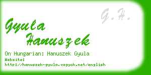 gyula hanuszek business card